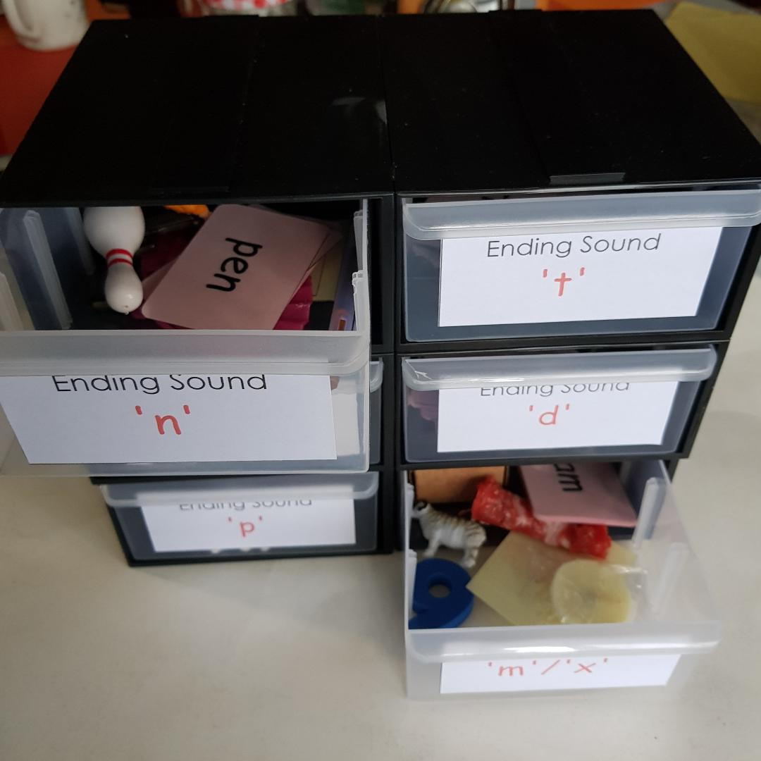 Montessori Pink Scheme - Phonics - Ending Sounds Object Box