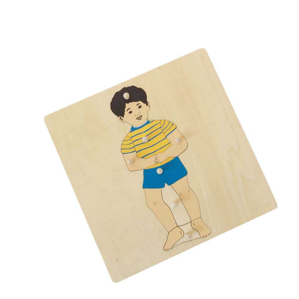 Montessori Wooden Knobbed Boy Puzzle