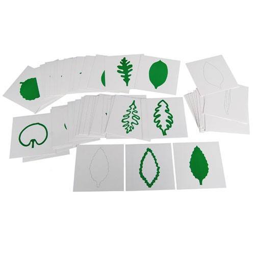 Montessori Botany - Leaf Insets Cards - RightToLearn.com.sg
