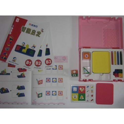 Multiple Intelligence Enlightenment Kit -  Set B - RightToLearn.com.sg
