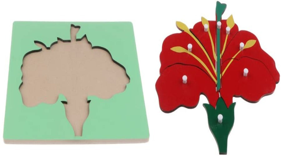 Montessori Wooden Botany - Knobbed Parts of a Flower Puzzle