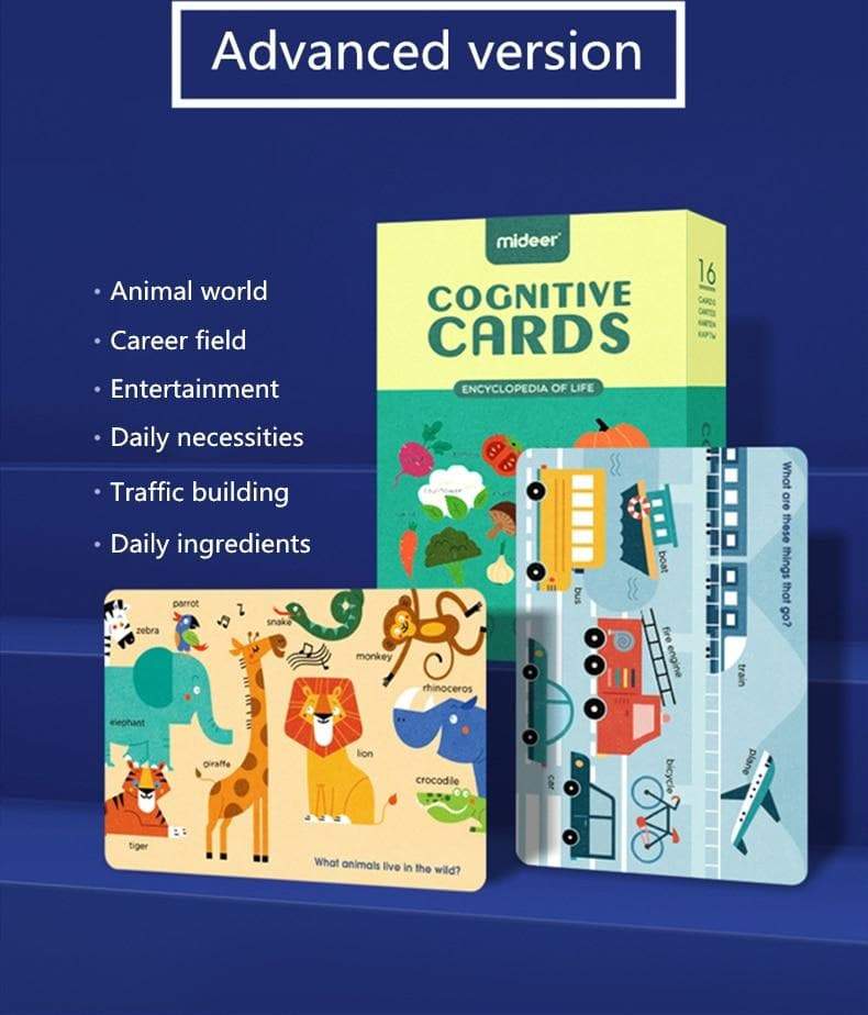 Mideer Educational Cognitive Cards