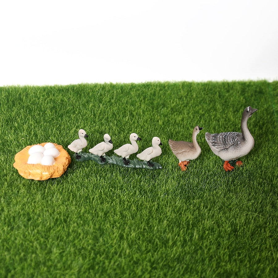 Life Cycle of a  GOOSE  - Miniature model