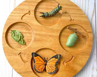 Montessori Wooden Life cycle of animals - tray display