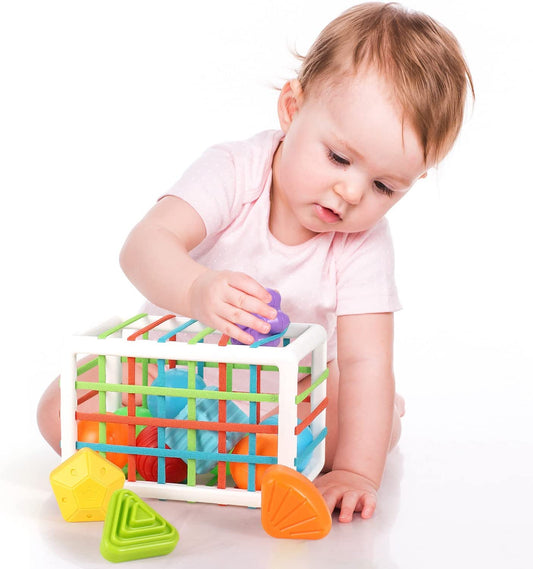 Sensory Bin Storage - Shape Sorting Sorter - Fine Motor / Concentration Development