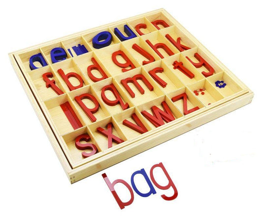 Montessori Large Moveable / Movable Alphabet- LMA - Acrylic