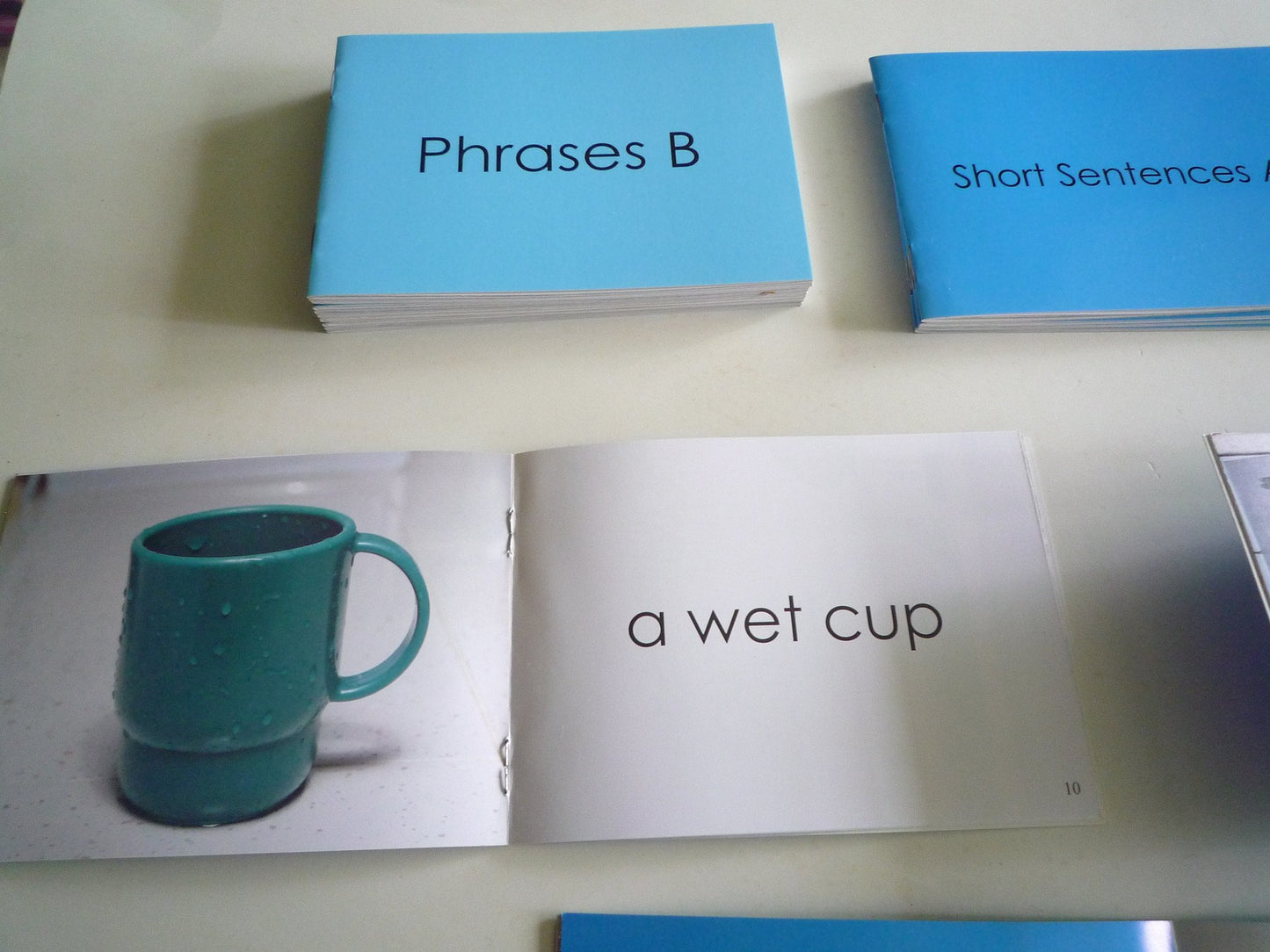 Montessori Blue Scheme - Phonetic Phrases & Sentences Booklets - RightToLearn.com.sg
 - 3