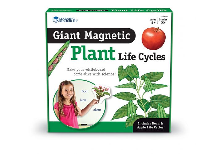 Learning Resources - Giant Magnetic Plant Life Cycle