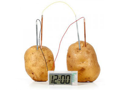 Potato Clock - Science Kit Experiment