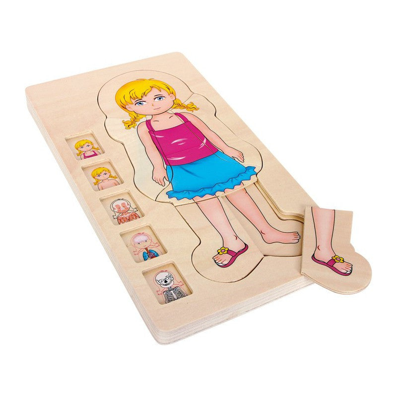 OnShine Multi-Layer puzzle Body Parts