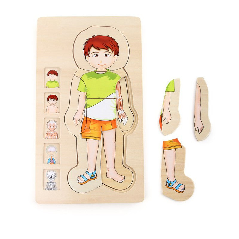 OnShine Multi-Layer puzzle Body Parts