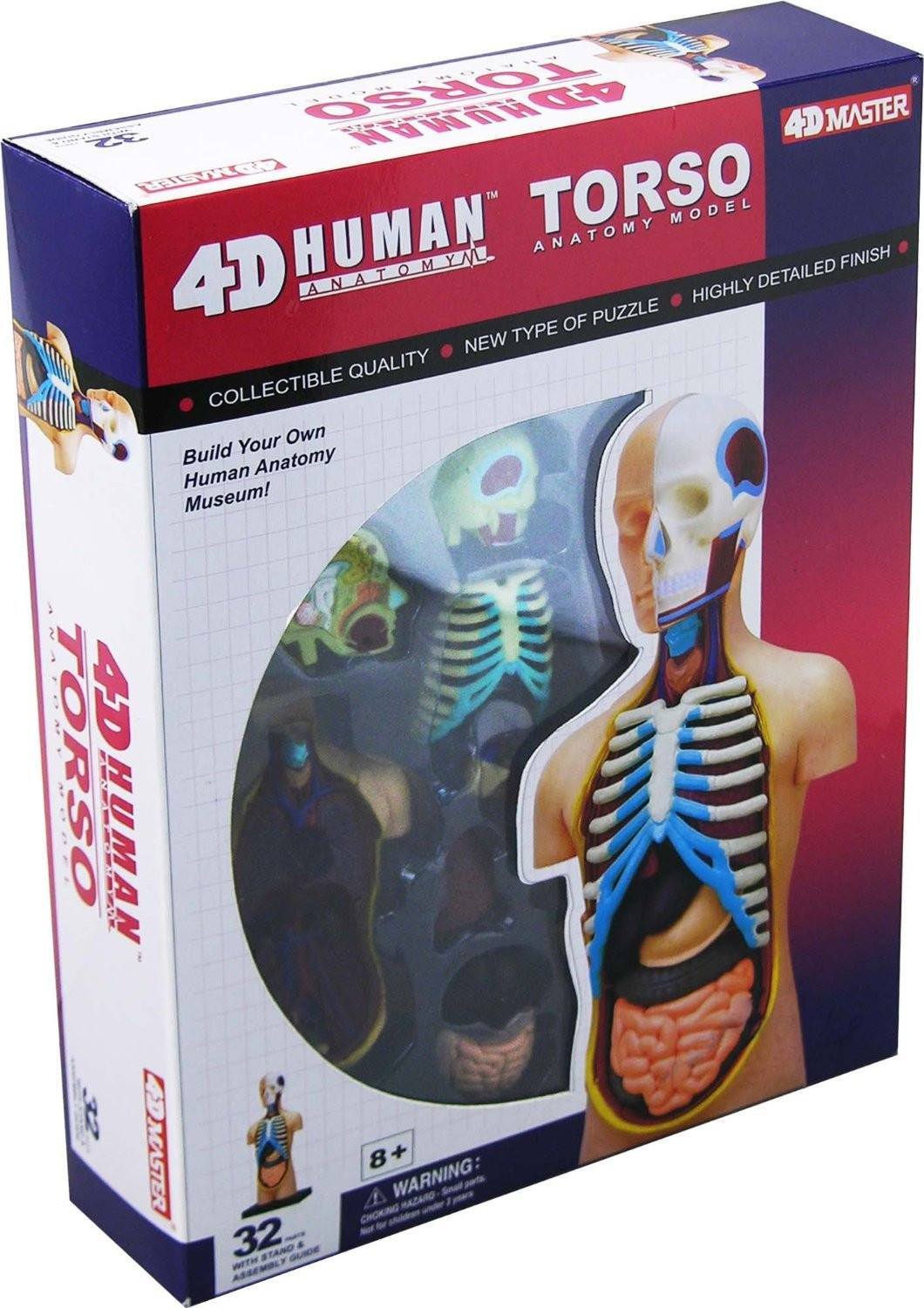 4D Vision Anatomy Puzzle - Human Torso - RightToLearn.com.sg
 - 2