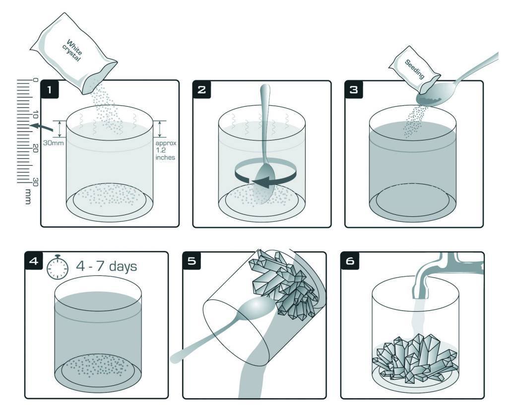 4M Kidz Lab - Crystal Growing Kit - RightToLearn.com.sg
 - 2