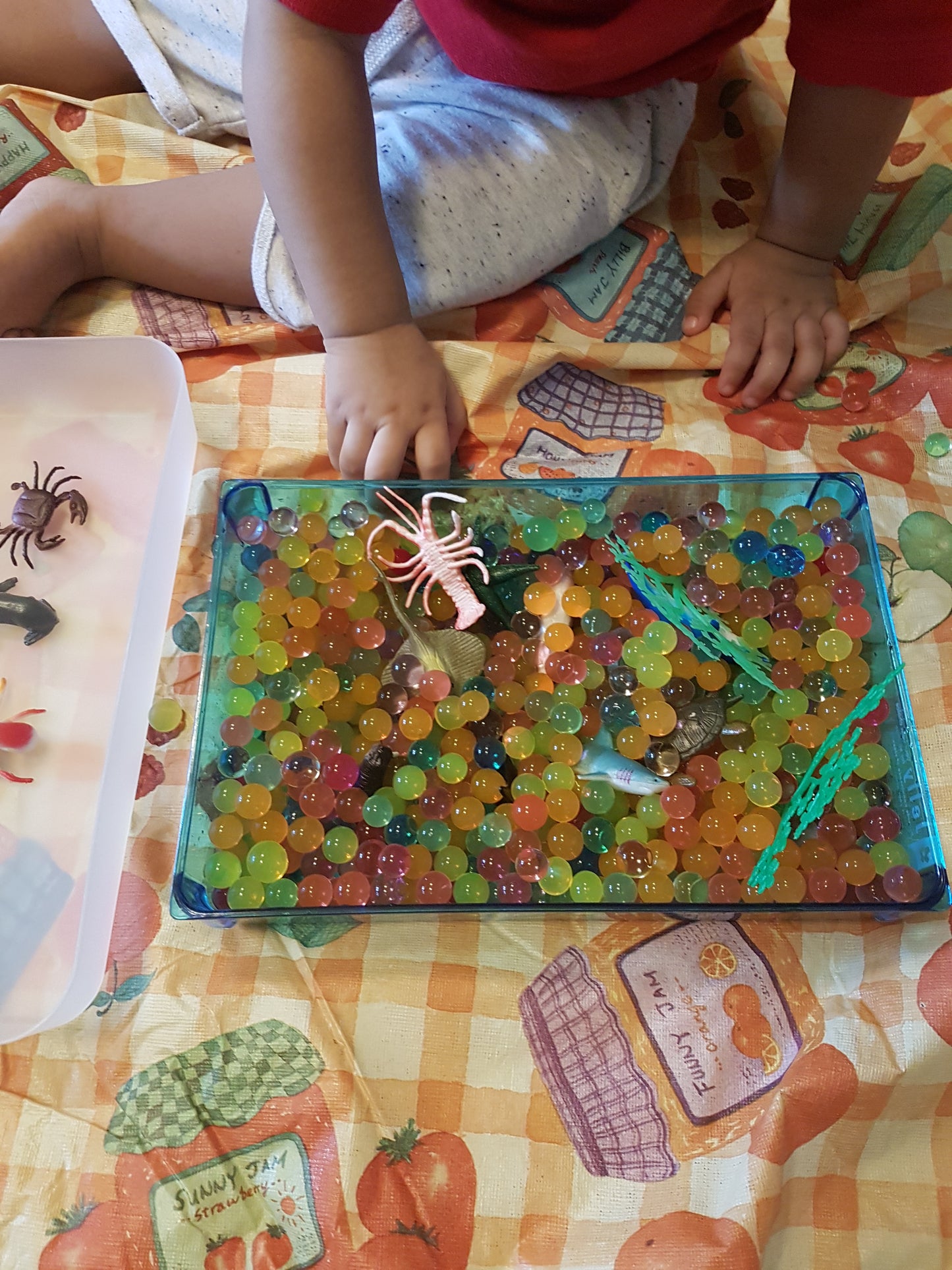 The Sea World Animals / Creatures & Water Beads Package - Sensory