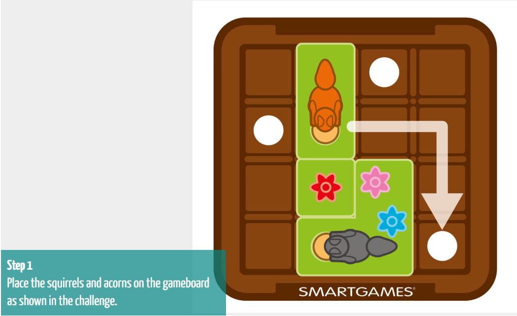 SmartGames - Squirrel Go Nuts  -  IQ Logic Puzzle Smart Games