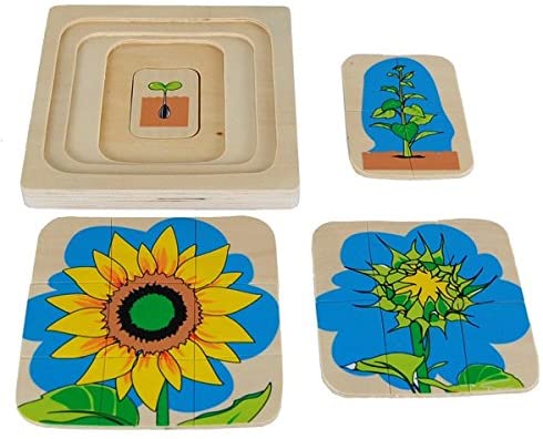 Montessori Life Cycle of a Flower - Layer Wooden Puzzle