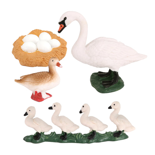 Life Cycle of a  Swan  - Miniature model