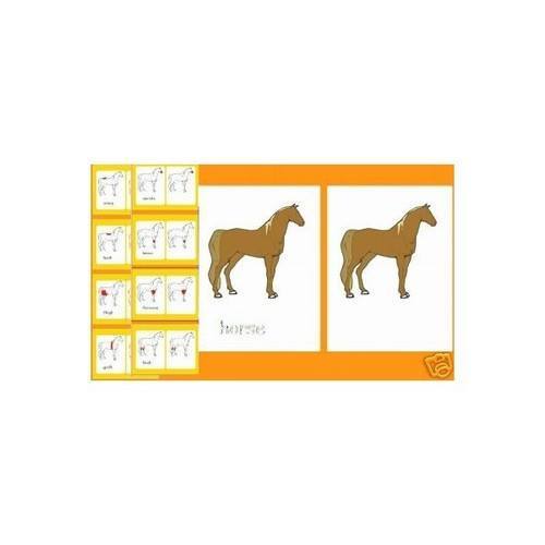 3 part cards - Parts of a Horse - RightToLearn.com.sg
