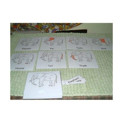 3 Part cards - Parts of an Elephant - RightToLearn.com.sg
