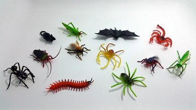 Creepy Crawlies - Insects/ Arachnid etc  - Miniature model - RightToLearn.com.sg
