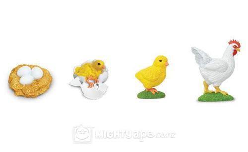 Life Cycle of a Chicken / Hen - Miniature model - RightToLearn.com.sg
 - 1