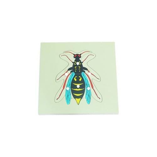 Parts of a BEE Puzzle - RightToLearn.com.sg
