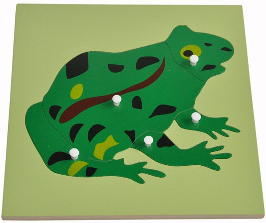 Parts of a FROG Puzzle - RightToLearn.com.sg
 - 1