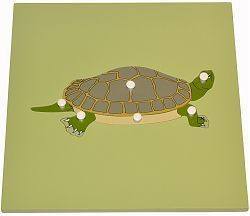 Parts of a Turtle Puzzle with skeleton - RightToLearn.com.sg
 - 1