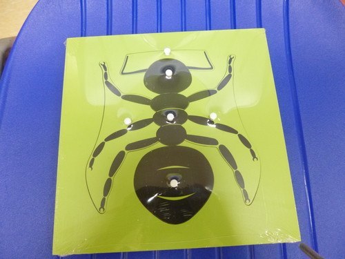 Parts of an ANT Puzzle - RightToLearn.com.sg
