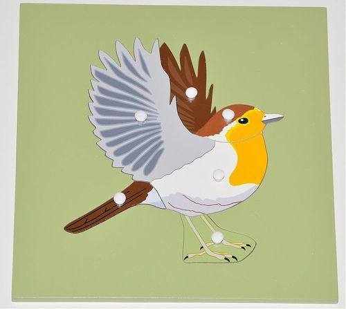 Parts of Bird Knobbed Puzzle with Skeleton - RightToLearn.com.sg
 - 1